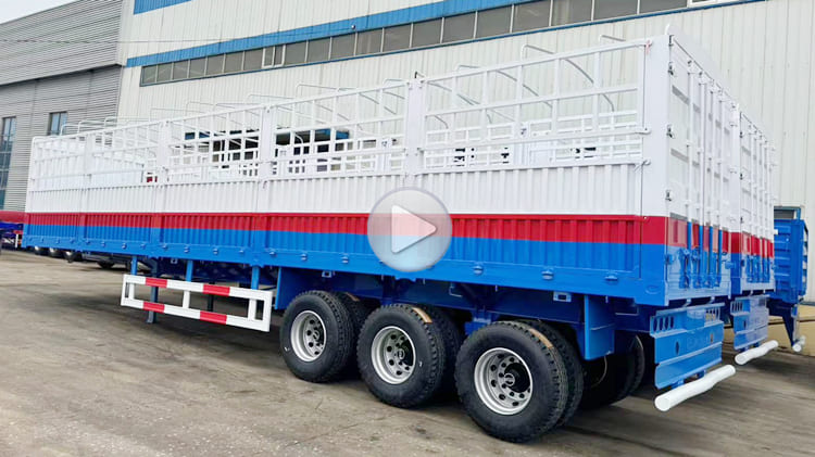 Tri Axle Fence Cargo Semi Trailer for Sale in Tanzania Dar es Salaam