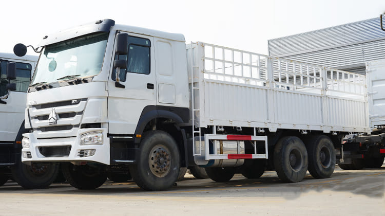 Used Howo Fence Truck for Sale in Tanzania, Dar es Salaam