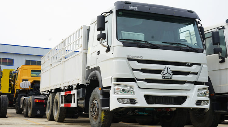 Used Howo Fence Truck for Sale in Tanzania, Dar es Salaam