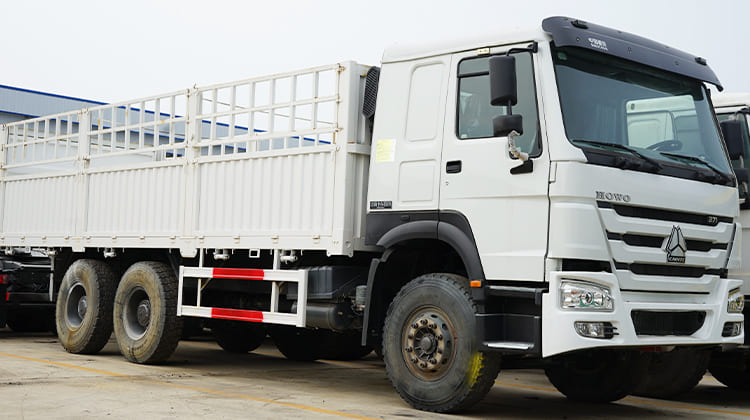Used Howo Fence Truck for Sale in Tanzania, Dar es Salaam